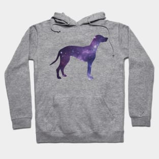 galaxy mutt Hoodie